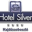 Hotel Silver****superior