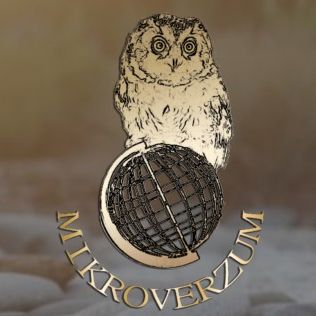 Kertész János kineziológus, reflexológus, masszőr